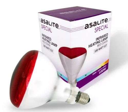 asalite100we27.png