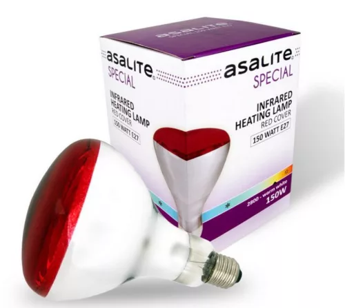 asalite100we276.png