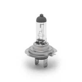 50941halogen.jpg