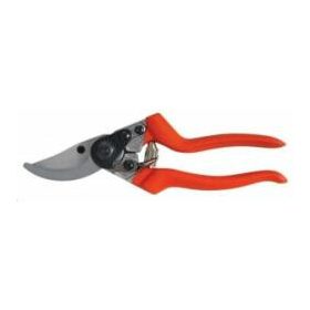 HECHT 421 - METSZŐOLLÓ