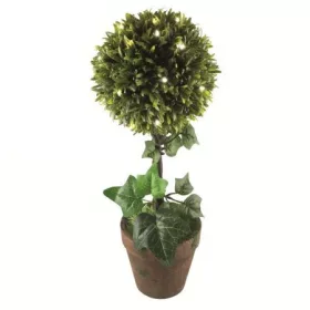 LED-ES BUXUS, 25 LED, MELEGFEHÉR
